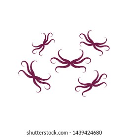 octopus icon logo vector illustration design template