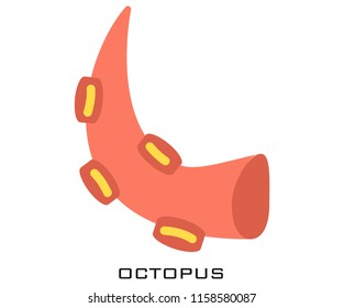 Octopus icon signs