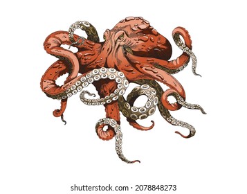Octopus illustration. Red colored kraken with tentacles, vintage engraving vector sketch. Sea giant monster animal hand drawn in realistic style with every tiny detail.