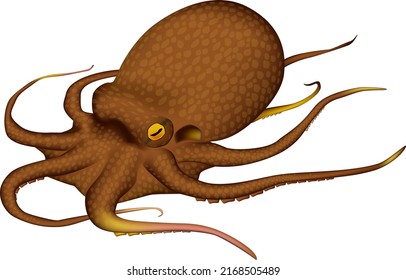 Ilustración de 'Octopus'. Formato EPS vectorial.