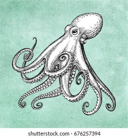 Octopus ink sketch on old paper background. Hand drawn vector illustration. Retro style.