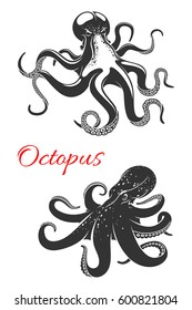 Octopus isolated icon set. Dangerous octopus marine animal with curled tentacles. Black sea monster for tattoo, t-shirt print or zoo aquarium symbol design