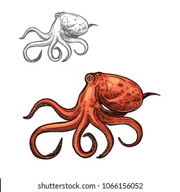 Octopus isolated sketch of sea animal. Ocean mollusc with red body and tentacles icon for seafood or fish market label, zoo aquarium symbol or t-shirt print design