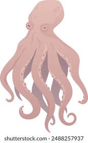 Ilustración vectorial aislada de pulpo. Moluscos marinos. Arte de Clip animal submarino. Vida marina.