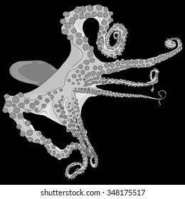 octopus isolated vector image