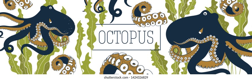  Octopus and kelp banner vector template. Hand drawn illustration on white background.