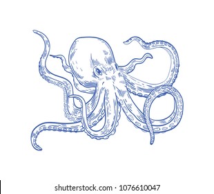 Octopus or Kraken drawn with contour lines on white background. Marine animal or mollusc with tentacles, deep sea creature, underwater inhabitant, ocean monster. Monochrome vector illustration