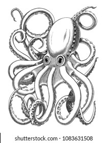 Octopus or Kraken hand drawing vintage engraving black and white illustration. Vector illustration.