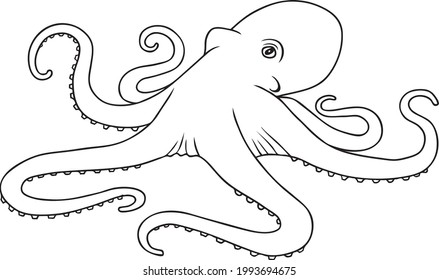  octopus line vector illustration isolated on white background.Animals top view