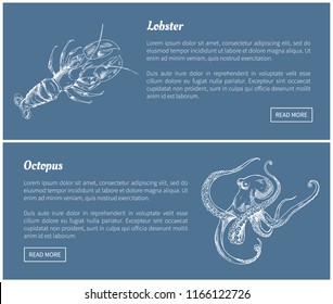 Octopus and lobster seafood vector vintage icons. Hand drawn set, decorative images of ocean animals isolated on blue restaurant menu template sketch.
