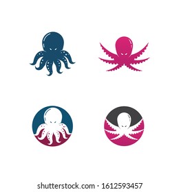 
Octopus logo ilustration vector template