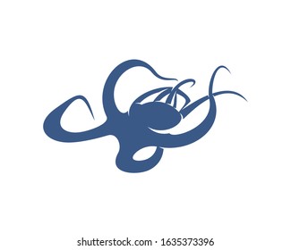 Octopus logo vector template. Isolated octopus design on white background. Illustration