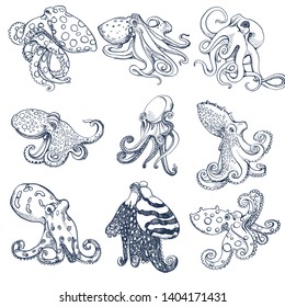 octopus marine set,isolated on white background , vector,hand drawing