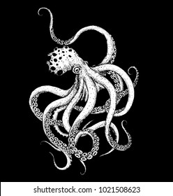 octopus black background hand