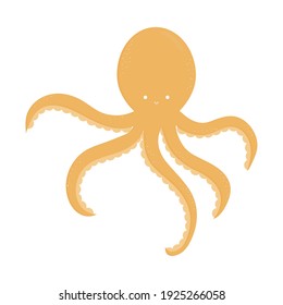 octopus on a white background vector illustration design