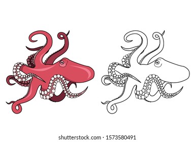 Octopus outline illustration isolated on white background. Stock vector for coloring book.