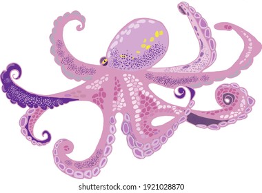 Octopus pink color on white background, funny octopus. Animal watercolor silhouette sketch. Hand draw art illustration. Graphic for fabric, tee-shirt, postcard, greeting card, book, poster, sticker