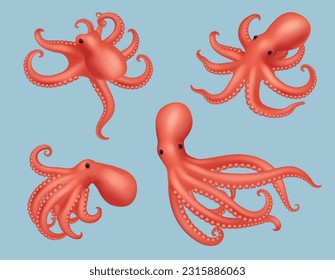 Octopus. Realistic marine creature animal squid aquatic decent vector 3d octopus