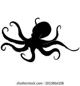 Octopus sea animal black silhouette outline vector illustration. A part of ocean wildlife.