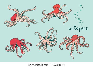 Octopus sea animal vector illustrations set