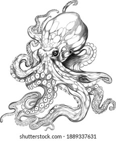 octopus sea black white sketch  vector illustration