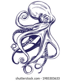 octopus, sea life, hand drawn vector illustration realistic sketch