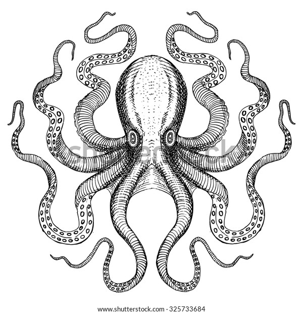 Octopus Sea Monster Stock Vector (Royalty Free) 325733684 | Shutterstock
