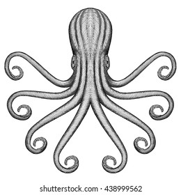 Octopus Sea Monster Illustration