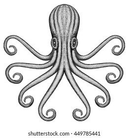 Octopus Sea Monster Illustration