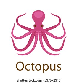 Octopus. Seafood flat icon. Vector illustration.