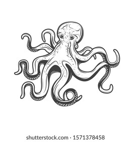 Octopus seafood, isolated sketch engraving icon. Vector marine underwater octopus with tentacles, underwater monster animals sea fishing, fishery sea food gourmet symbol