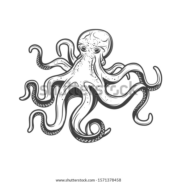 Octopus Seafood Isolated Sketch Engraving Icon Stock Vector (Royalty ...