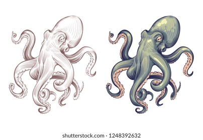 Octopus. Seafood sea animal squid with tentacles cartoon and hand drawn style. Octopuses vector set