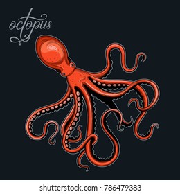 Octopus. Seafood. Vector illustration. Image isolated on a black background. Vintage style.