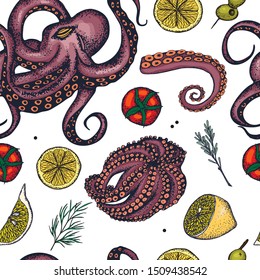 Octopus seamless pattern .Seafood.Set of hand drawn graphic illustrations.Decorative card or flyer design with sea food sketch. Vintage menu template.