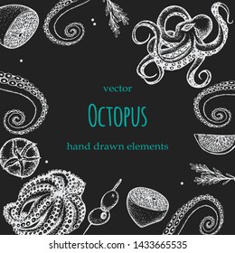 Octopus .Set of seafood. Hand drawn illustrations.Seafood concept on white background. Hand drawn octopus . Background template for design. Can be use for menu, packaging.