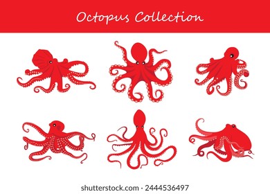 Octopus set. Vector illustration. Isolated on white background.