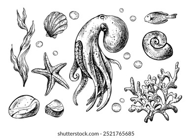 Pulpo, conchas, estrellas de mar, peces, burbujas, guijarros y otros animales marinos y plantas. Ilustración gráfica dibujada a mano en tinta negra. Conjunto de objetos aislados Vector EPS.