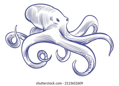 Octopus sketch. Deep ocean water animal with tentacles