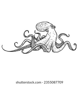 Octopus in sketch hand drawn style. Retro vintage sea monster drawing. Best for seafood and nautical designs. Vector illustration on white.