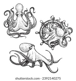 Octopus sketch hand drawn vector illustrations set. Octopus on the helm. Engraving line art collection. Best for nautical designs.