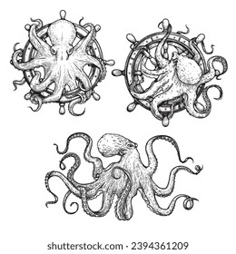 Octopus sketch hand drawn vector illustrations set. Octopus on the helm. Engraving line art collection. Best for nautical designs.