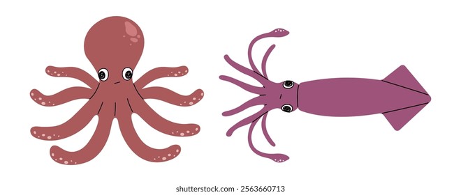 Octopus and Squid 1 cute on a White background, vector illustration.