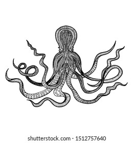 Octopus Squid Sea Monster black and white 
