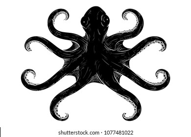 Octopus with symmetric tentacles. Black hand drawn sketch. Vector illustration isolated on white background