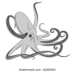 Octopus, tattoo