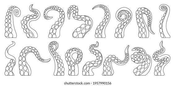 Octopus of tentacle isolated outline icon. Sea squid vector outline set icon. Vector illustration octopus of tentacle on white background .