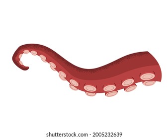 Octopus tentacle on white background. Sea squid vector cartoon icon. Spooky marine monster arm. Underwater animal
