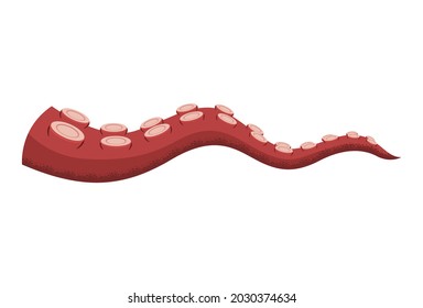 Octopus tentacle on white background. Sea squid vector cartoon icon. Spooky marine monster arm. Underwater animal