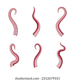 Octopus Tentacle as Part of Sea Animal Vector Set